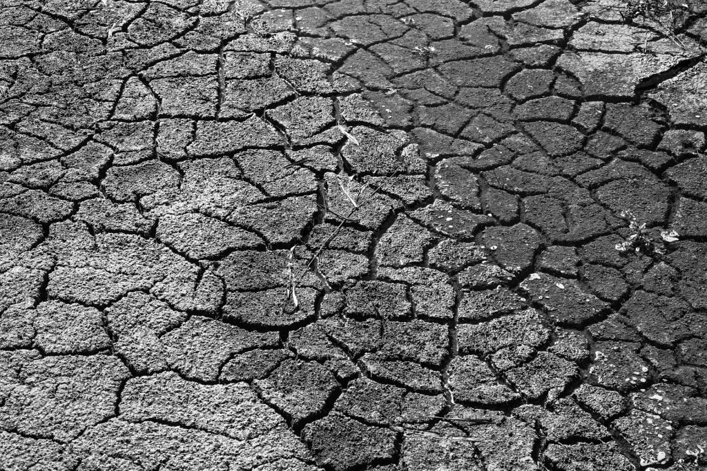 This image has an empty alt attribute; its file name is drought-1745153_1920-1024x683.jpg